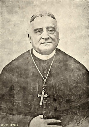 JOÃO DOMINGUES AREDE